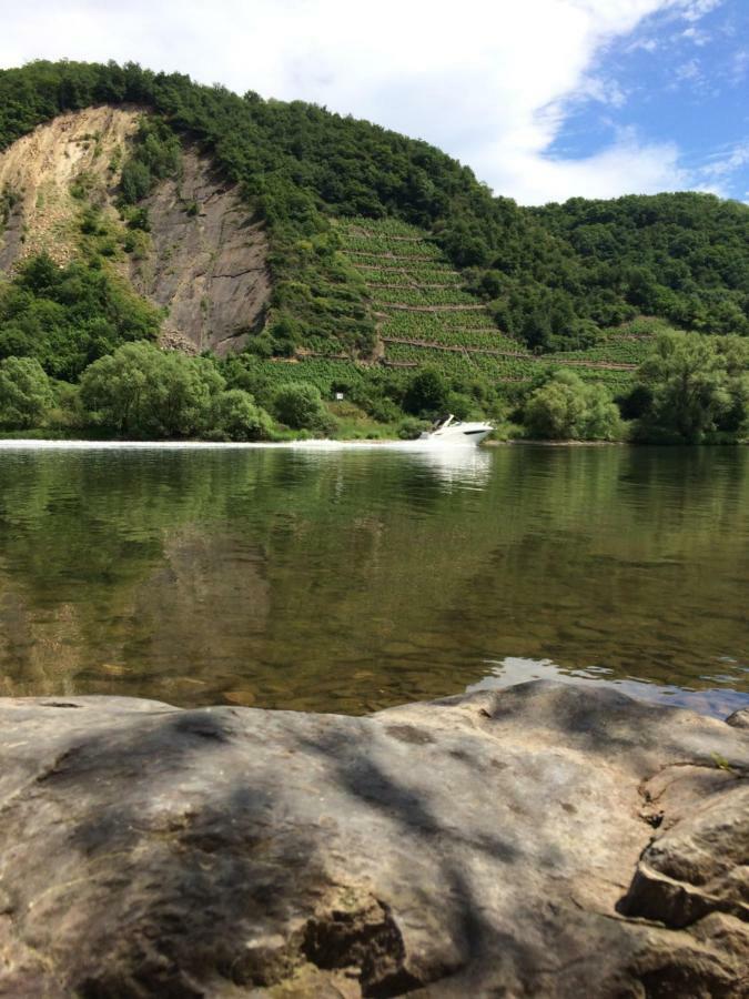 Ambiente Ii Und Iii